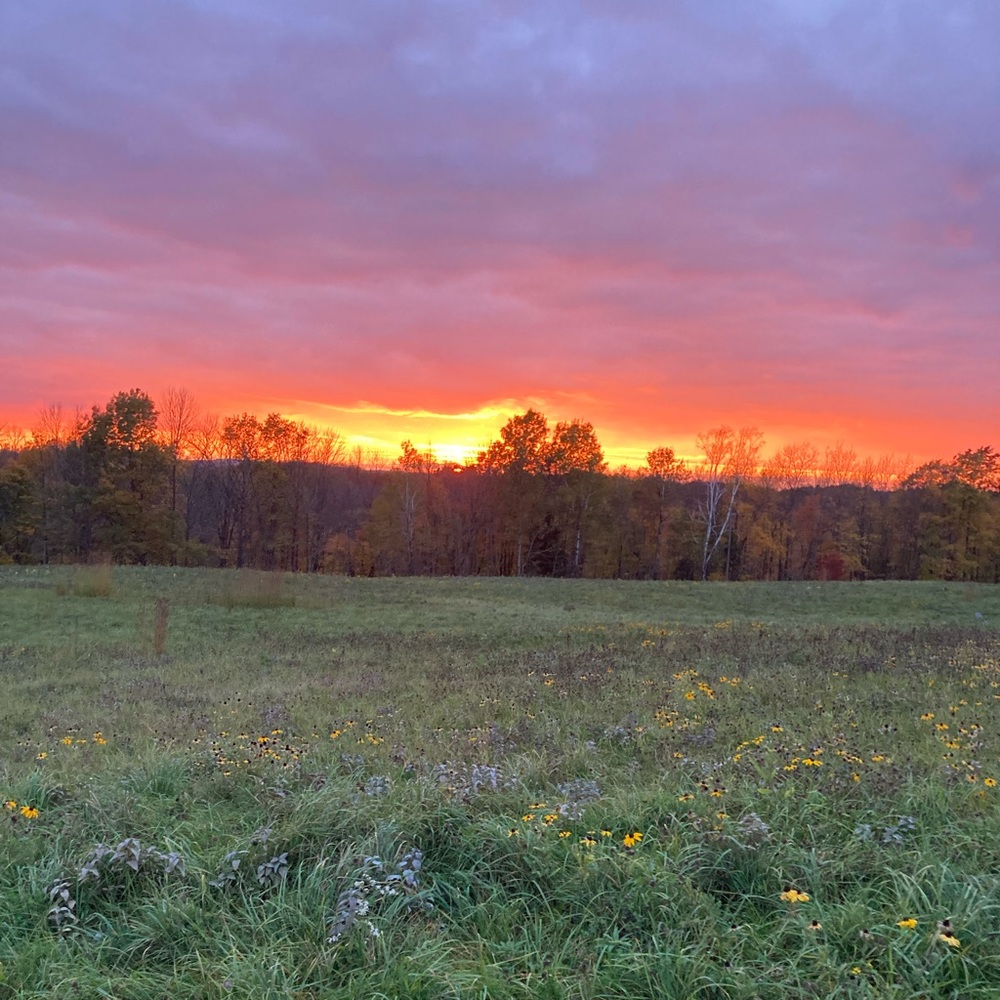 🦋💫🌻📚🍄🎨🌊🌝